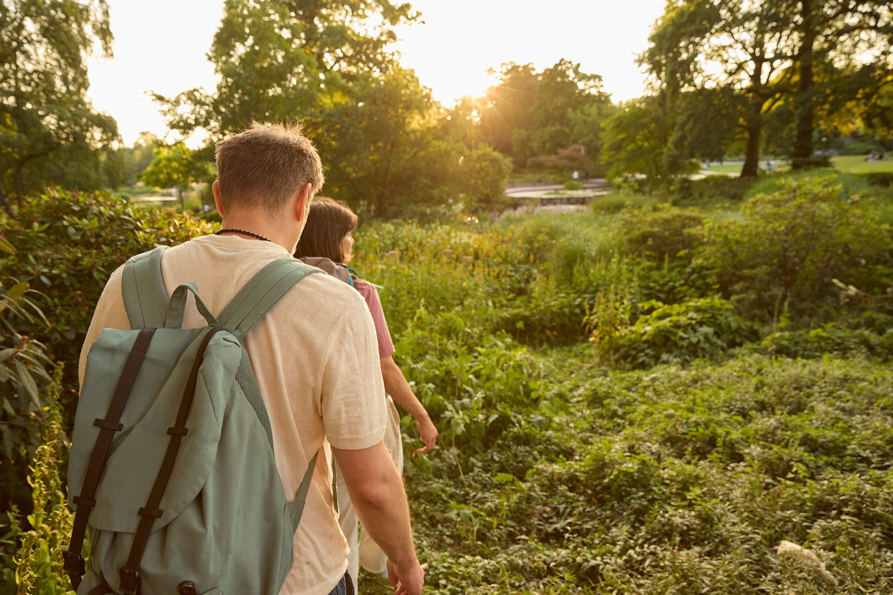 Zwei Menschen mit Rucksack gehen durch hohes Gras in die Abendsonne